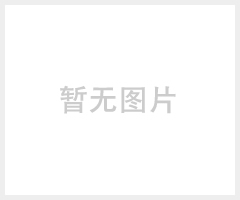 上海滑托板